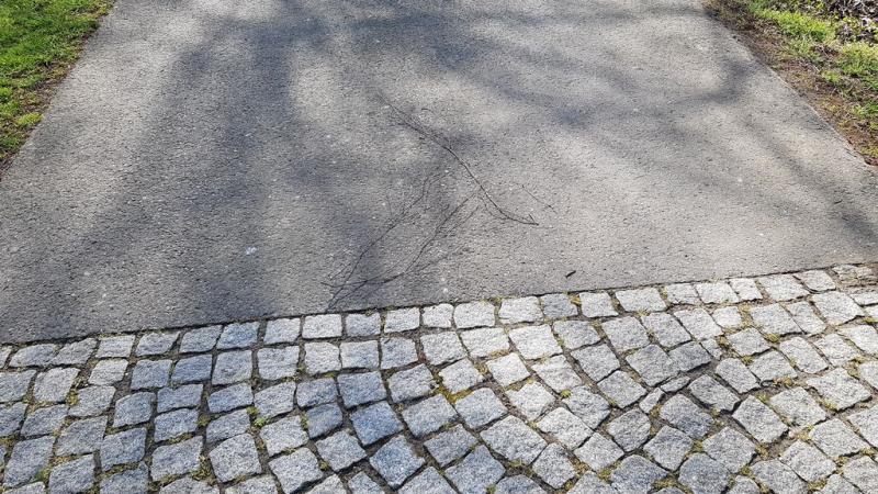 20190417_160058