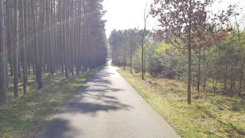 20190417_161535