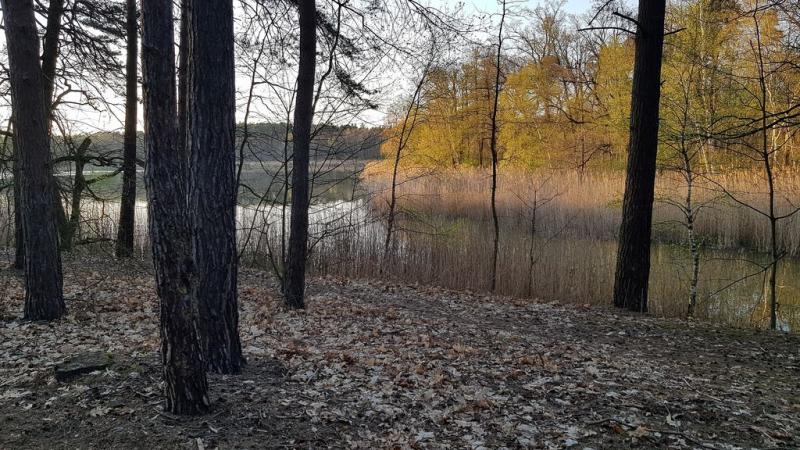 20190417_191527