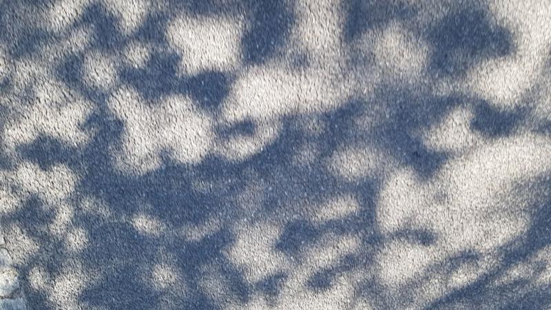 20190419_115154