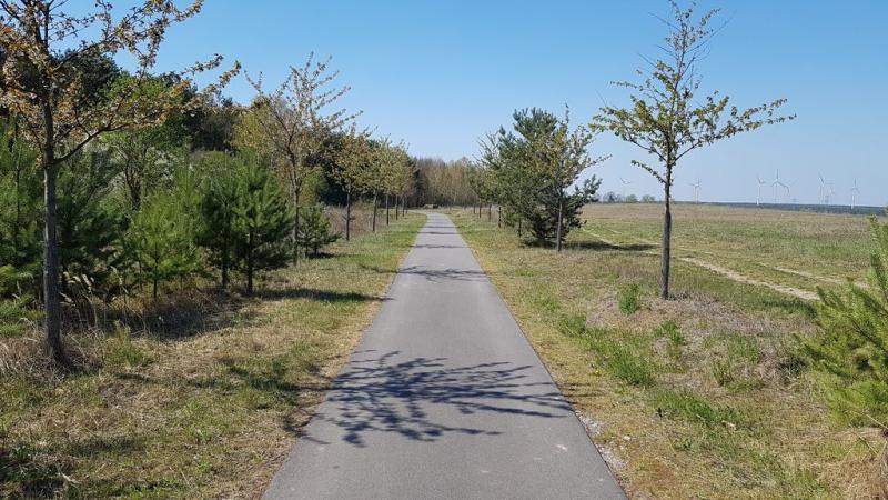 20190419_142231