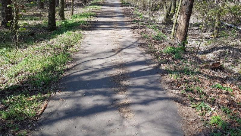20190419_143324