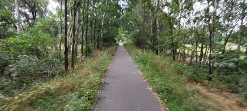 20210819_170819